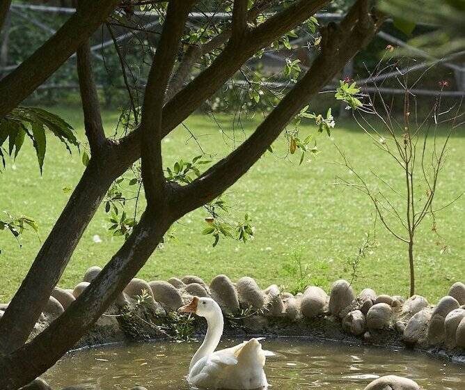 Acorn Hideaway Resort & Spa, Corbett