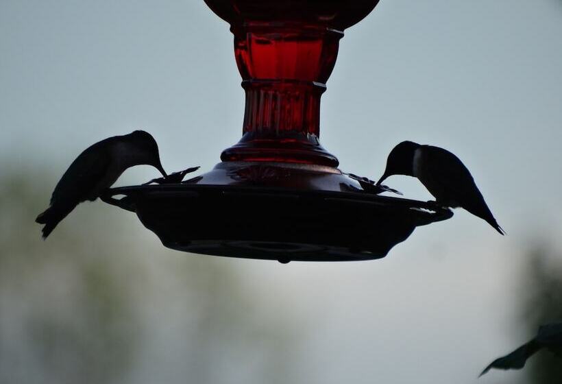 민박 Davie School Inn