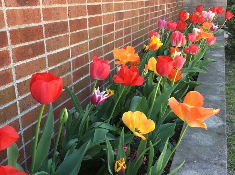 민박 Davie School Inn