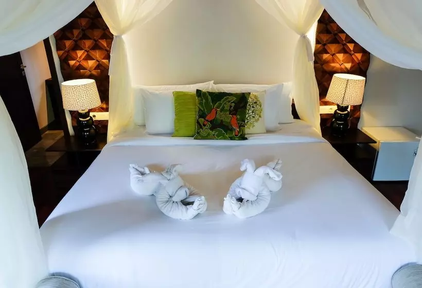 Aamiaismajoitus (B&B) Kaia Villa