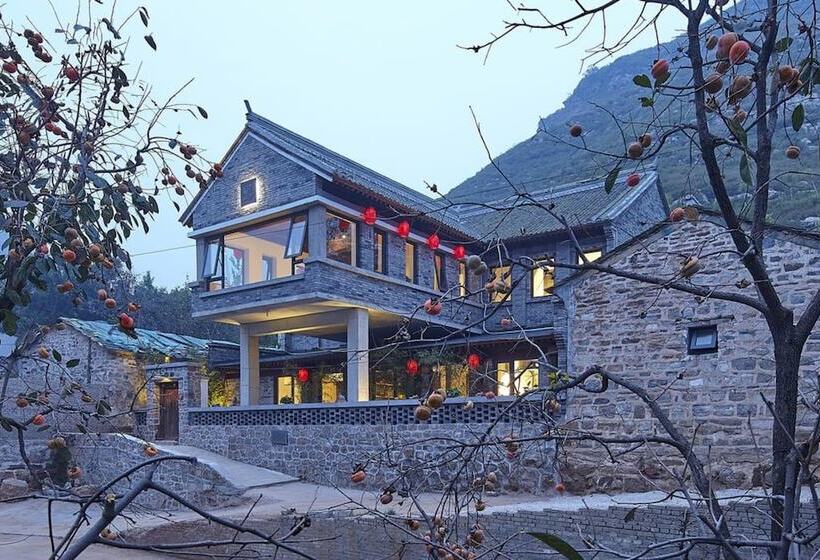 Hostal Home Coming Persimmon Furrow