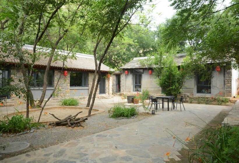 Hostal Home Coming Persimmon Furrow