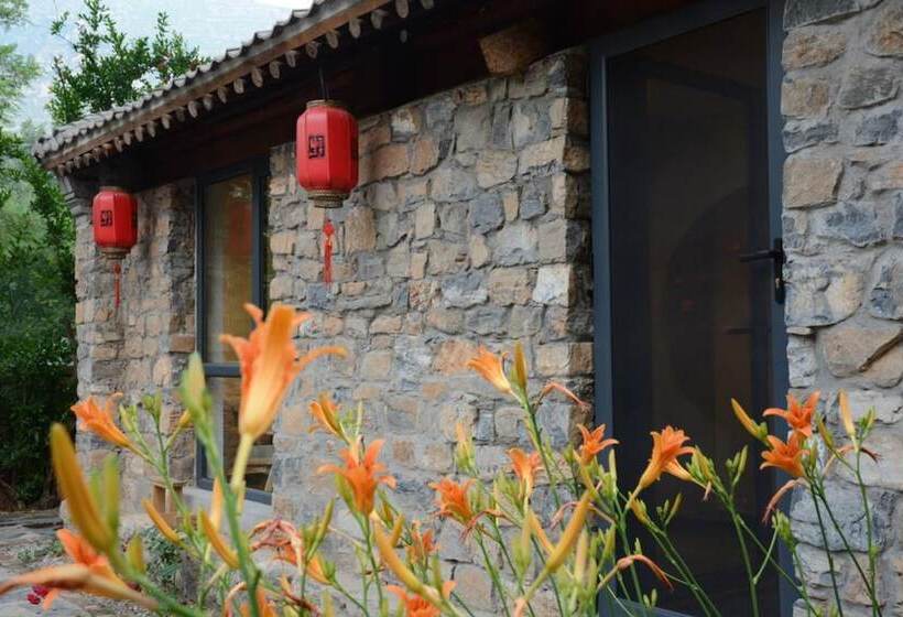 Hostal Home Coming Persimmon Furrow