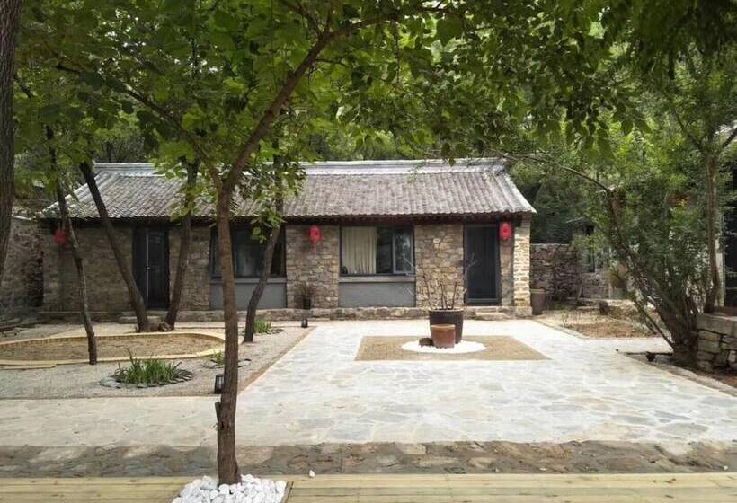 Hostal Home Coming Persimmon Furrow