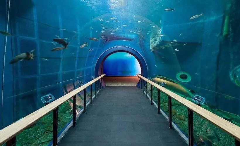 Hotelli Palms   Adults Only