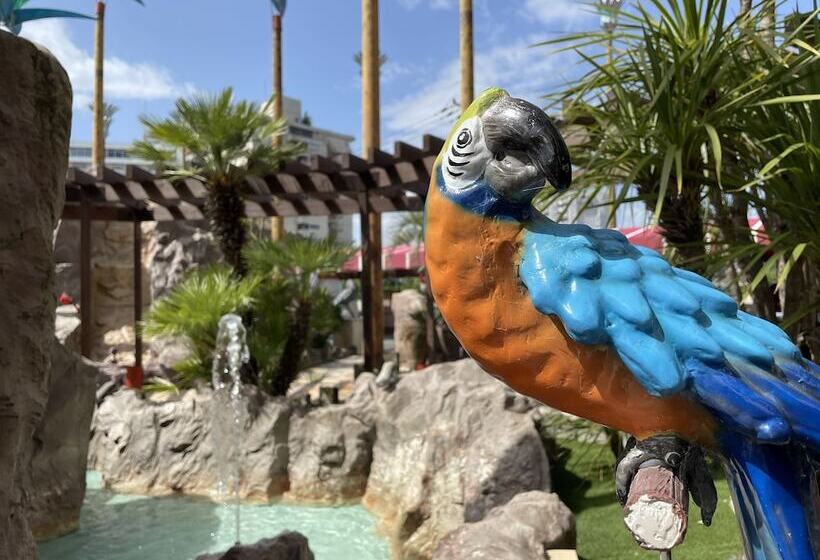 Hotel Palms   Adults Only