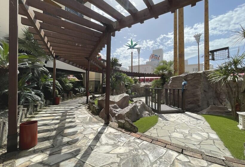 Hotel Palms   Adults Only