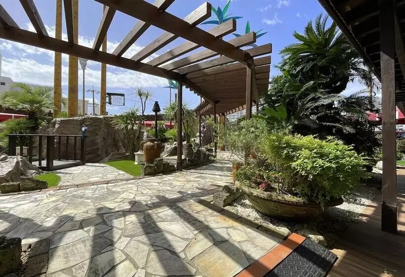 Hotelli Palms   Adults Only