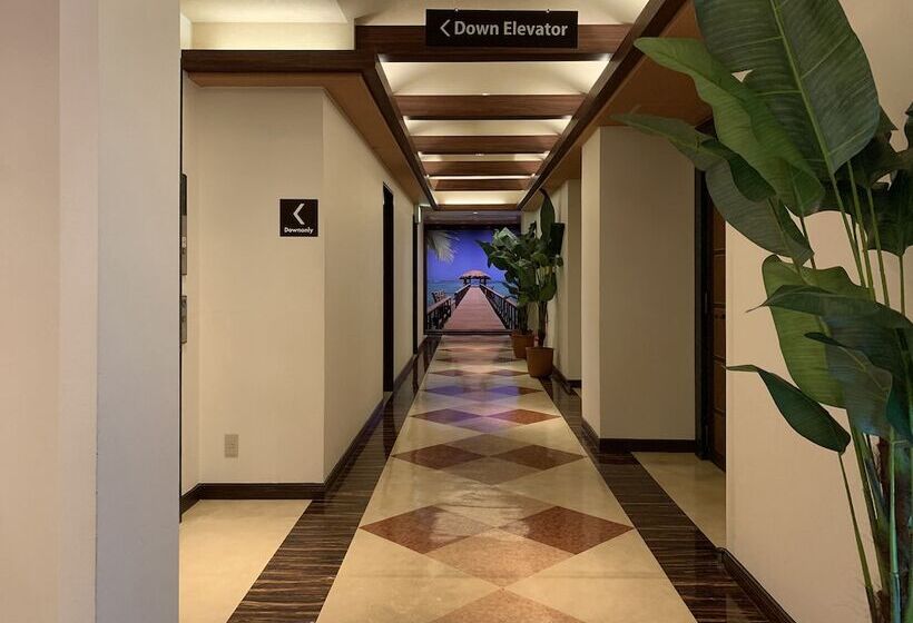 Hotel Palms   Adults Only