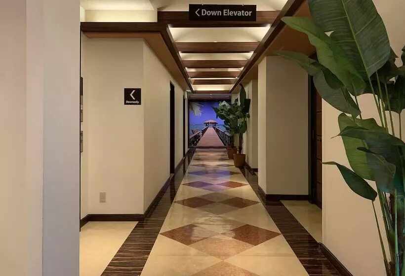 Hotelli Palms   Adults Only