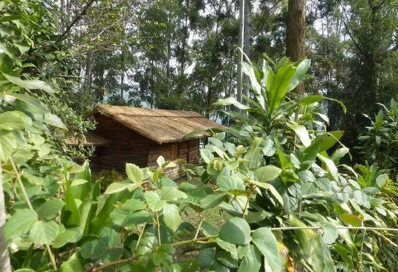 هتل Supreme Adventure Park Bunyonyi