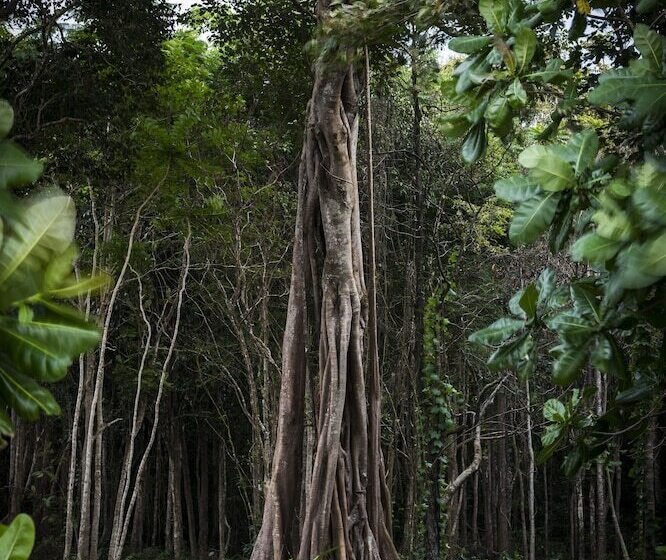 استراحتگاه Awei Pila Mergui Archipelago