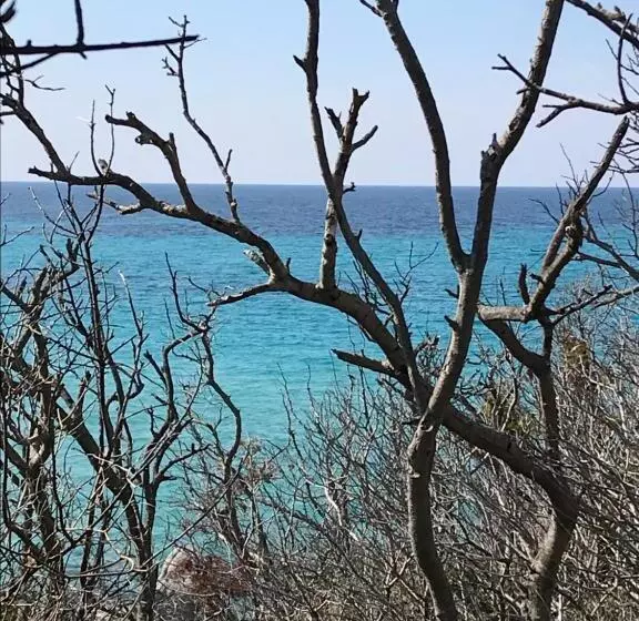 Aamiaismajoitus (B&B) Au Pied Des Oliviers