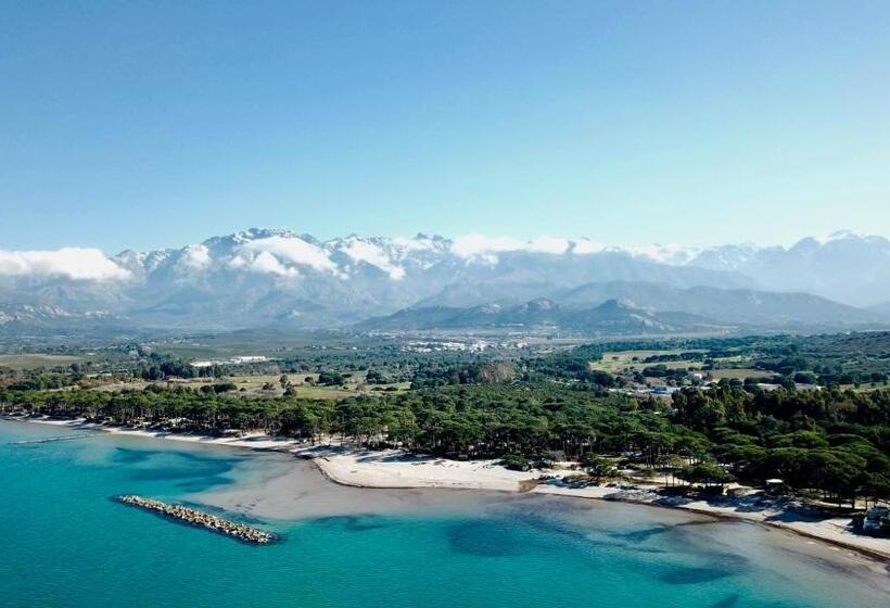 ベッドアンドブレックファースト Au Pied Des Oliviers