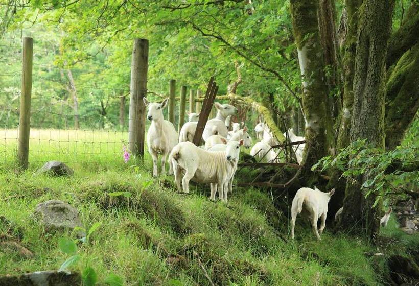 Cladich House Bed & Breakfast