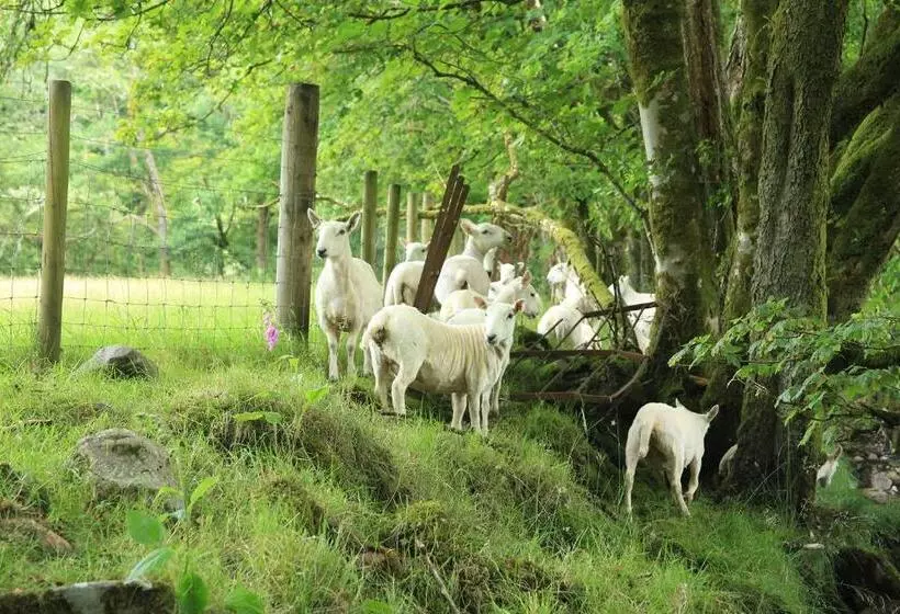 Cladich House Bed & Breakfast