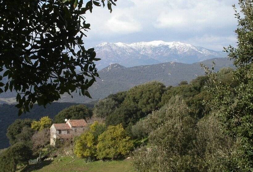 פונדק Domaine De Croccano