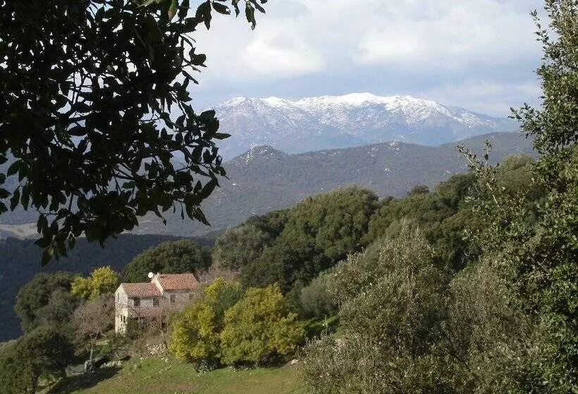 Hostelli Domaine De Croccano