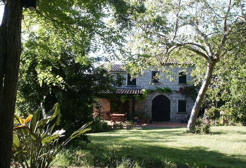 פונדק Domaine De Croccano