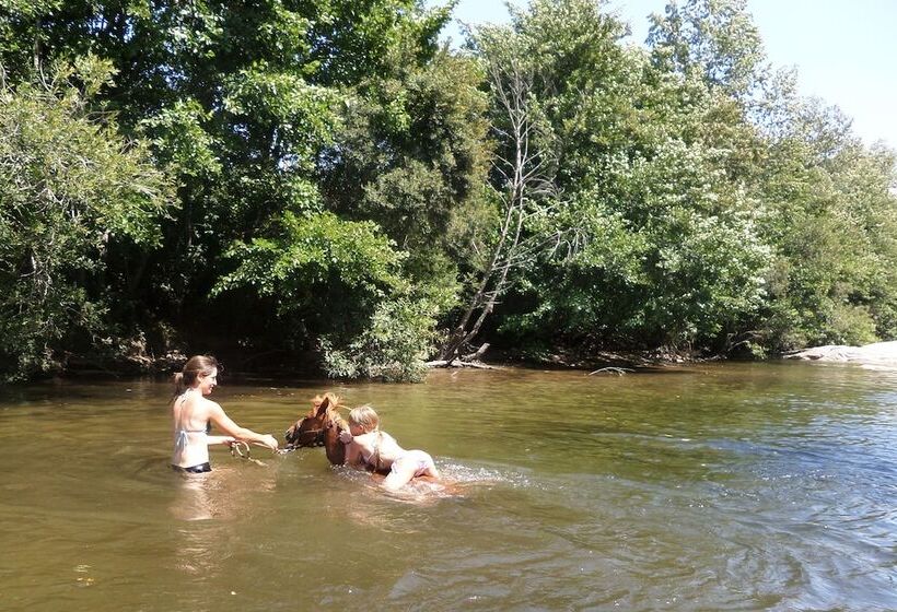 פונדק Domaine De Croccano