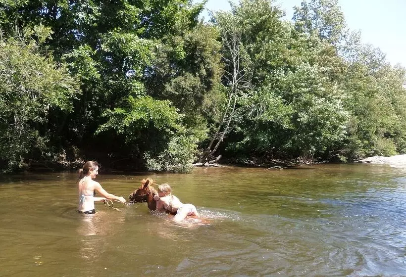 Hostelli Domaine De Croccano