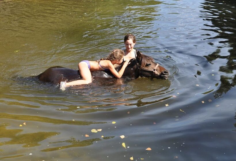 פונדק Domaine De Croccano