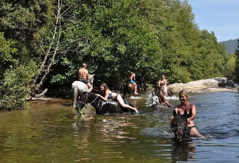 Hostelli Domaine De Croccano