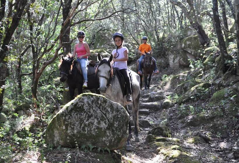 פונדק Domaine De Croccano