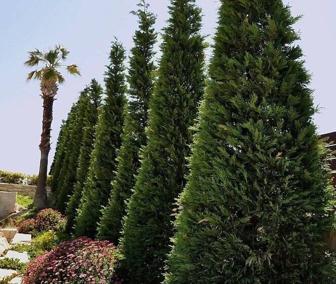 客栈  Ocean Villas Complex By Ocean Residences