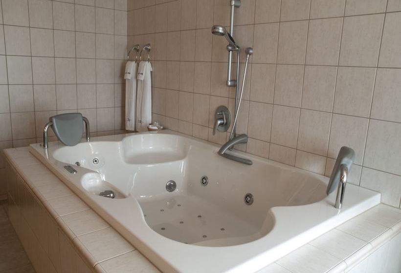 ホテル Castle Větrov  Castle  Collection