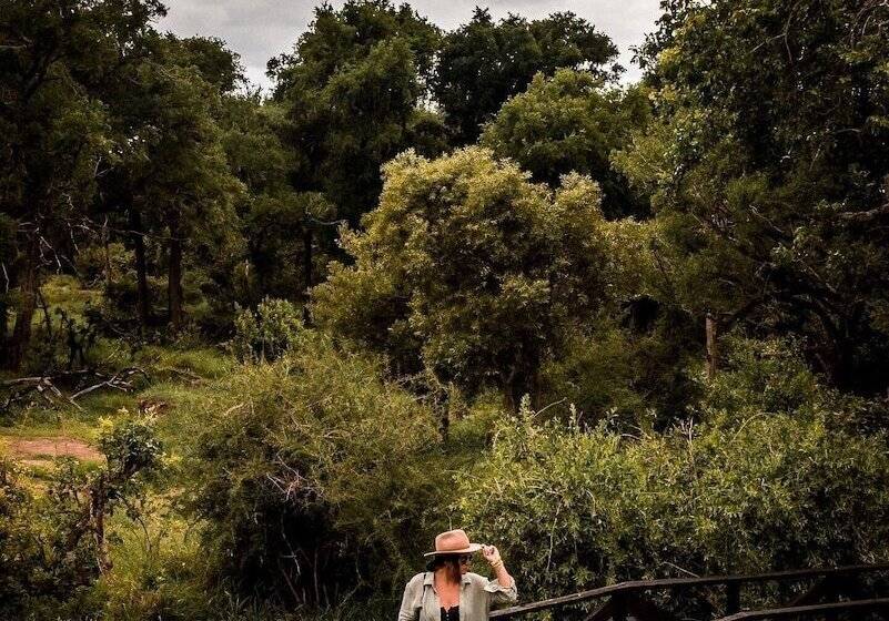 ホテル Honeyguide Khoka Moya Camp