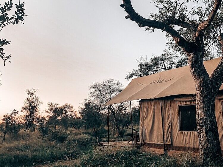 ホテル Honeyguide Khoka Moya Camp