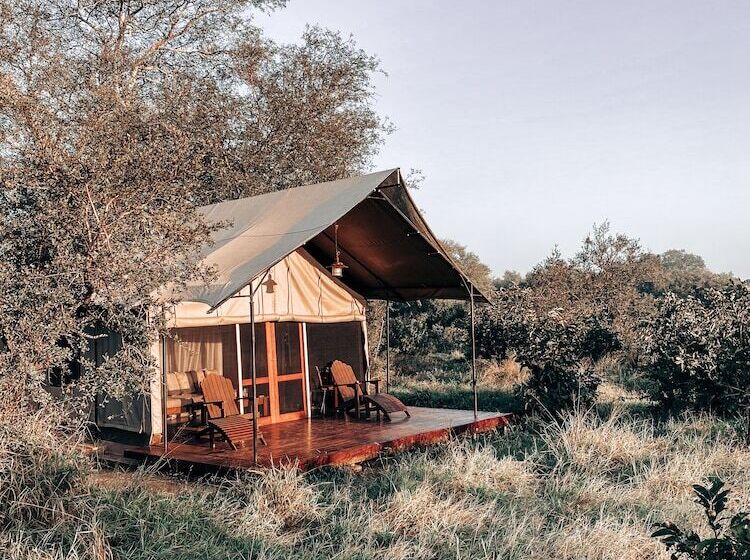 ホテル Honeyguide Khoka Moya Camp