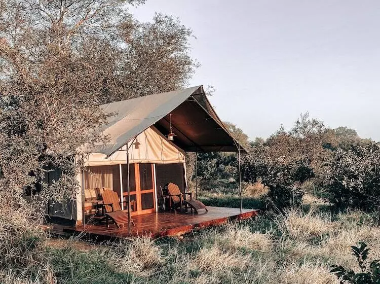 ホテル Honeyguide Khoka Moya Camp