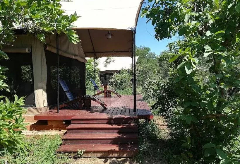 ホテル Honeyguide Khoka Moya Camp