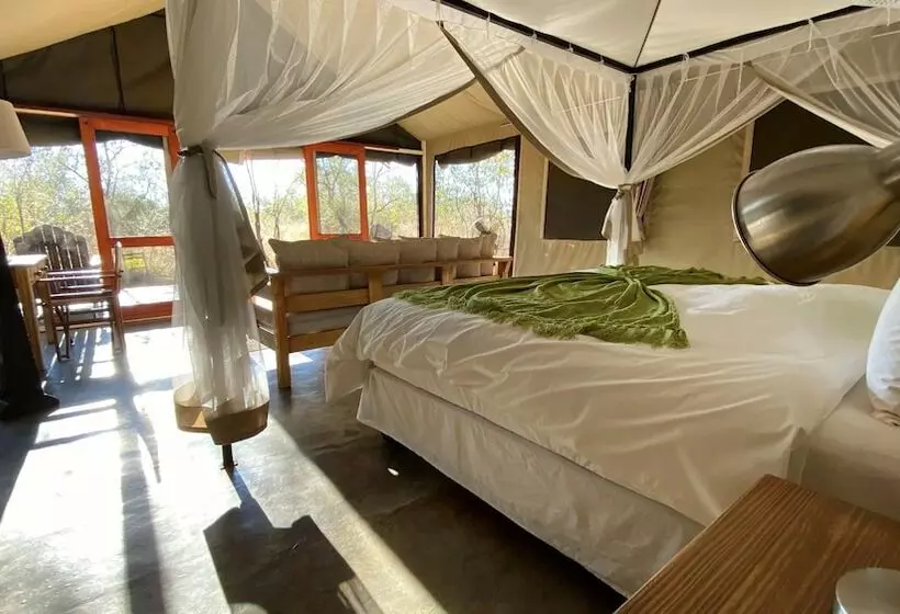 ホテル Honeyguide Khoka Moya Camp