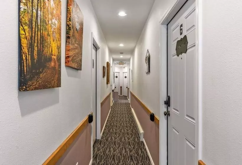 Hotelli The Bent Elbow