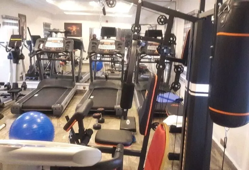 Immaculate Golden Hotels Limited