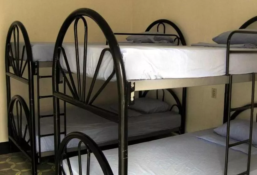 ユースホステル Hostal Cumbres Del Volcan Flor Blanca