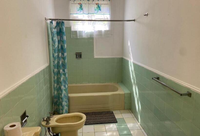 فندق صغير Hostal Cumbres Del Volcan Flor Blanca