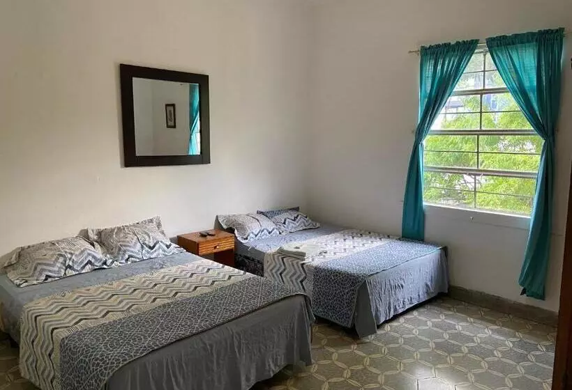 ユースホステル Hostal Cumbres Del Volcan Flor Blanca