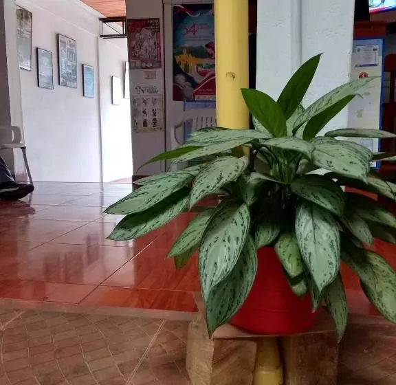 ユースホステル El Turista
