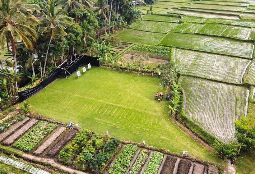 Bed and Breakfast Adil Villa And Resort