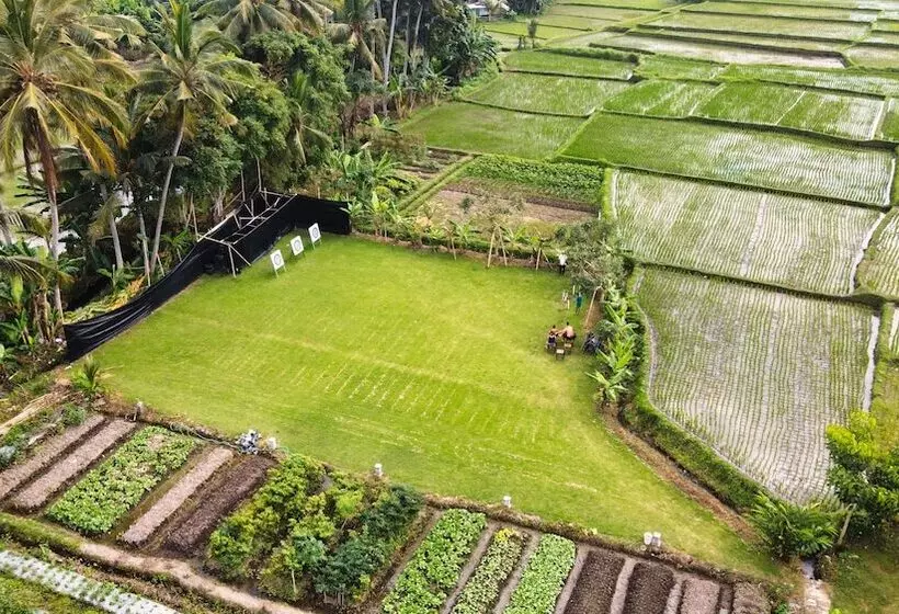 Aamiaismajoitus (B&B) Adil Villa And Resort