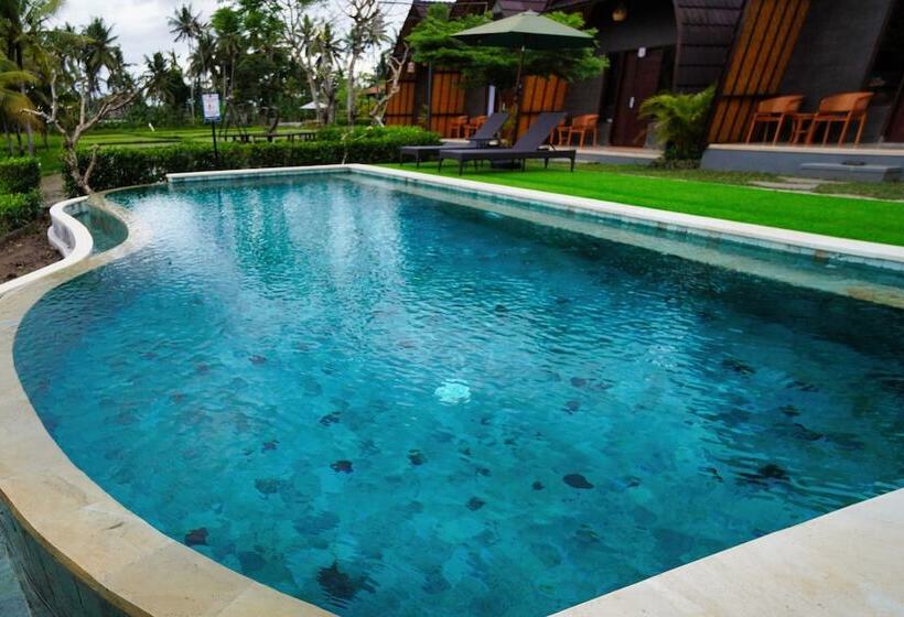 Bed and Breakfast Adil Villa And Resort