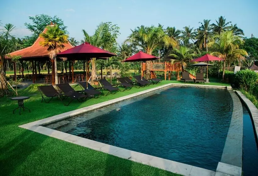 Aamiaismajoitus (B&B) Adil Villa And Resort