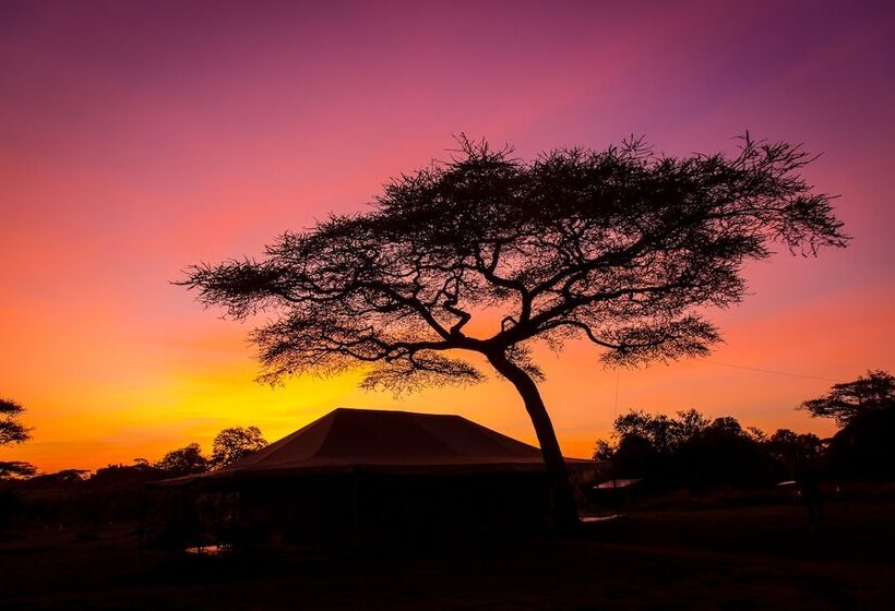 هتل Kisura Serengeti Tented Camp