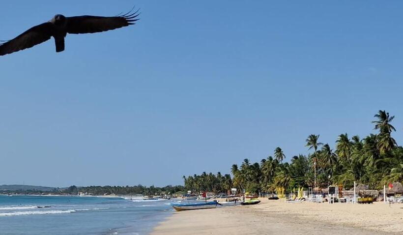 فندق Lucky Beach Resort