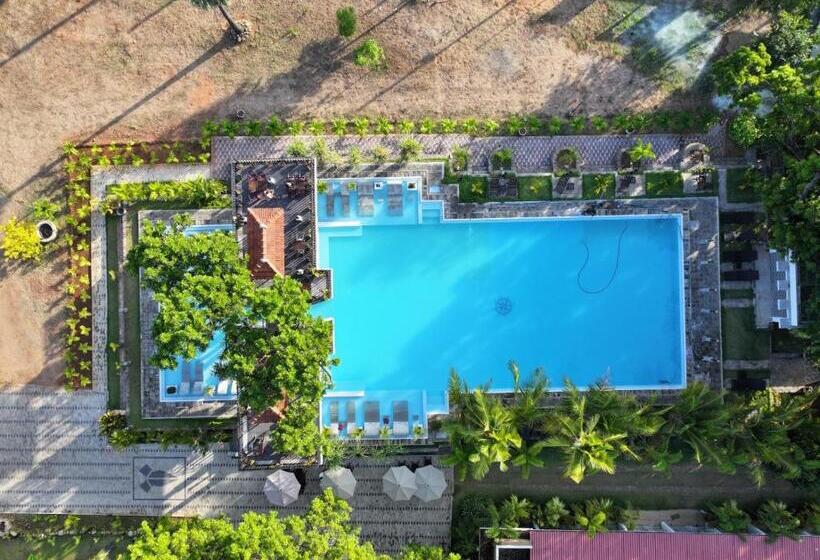 فندق Lucky Beach Resort