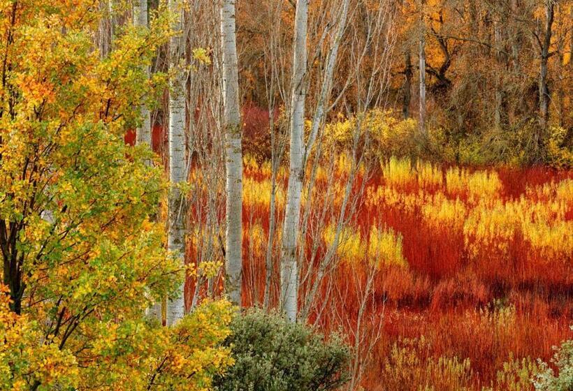 乡村酒店 El Rento Alojamiento Rural